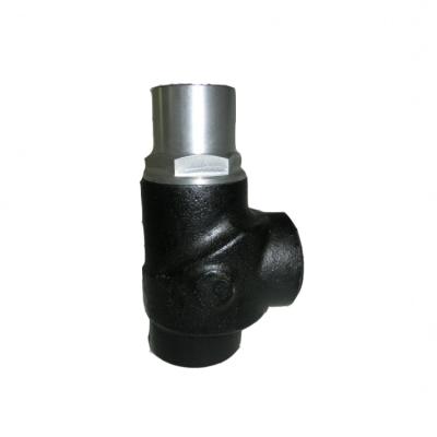 China YXPAKE Screw Air Compressor Parts Minimum Pressure Relief Valve - Screw Air Compressor Replacement 02250097-598 for sale