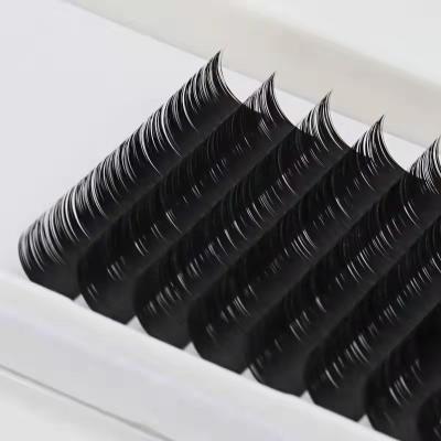 China PBT synthetic material silk individual eyelash extension for sale