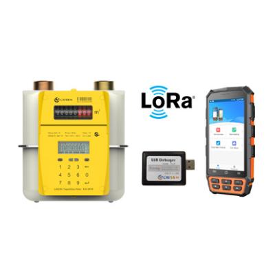 China Amr AMI Gas Meter (PG2.5) G1.6/G2.5 by LoRa Wireless Prepaid for sale