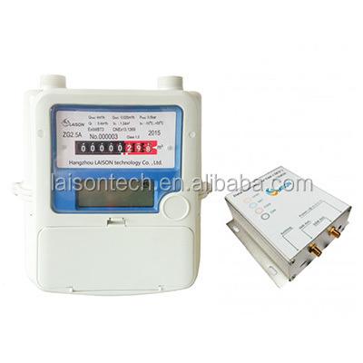 China Fixed Network AMR Gas Meter G1.6 for sale