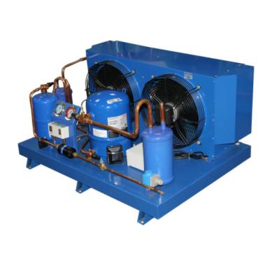 China Refrigeration Parts 6HP Refrigeration Box Shaped Chiller Compressor Condensing Units For Cold Room Storage for sale