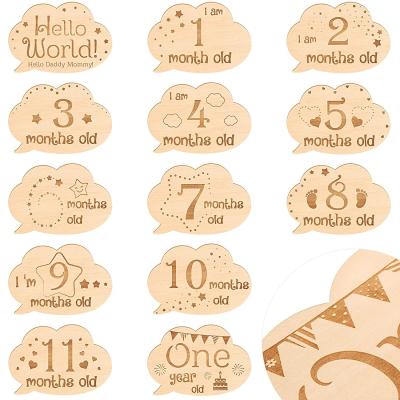 China Europe 13 Piece Newborn Milestone Cards Newborn Baby Gift Monthly Sets Baby Monthly Milestone Cards First Year Growth Props for sale