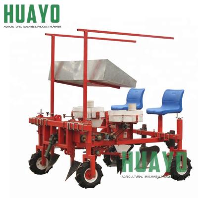 China Hot Sale Stevia Beet Kale Seedling Seedling Transplanter Transplanting Machine for sale