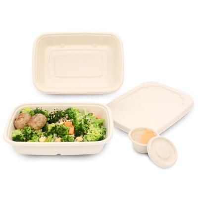 China Disposable Sugarcane Pulp Bagasse Containers Clamshell Biodegradable Baking Trays With Lids Food Packaging for sale