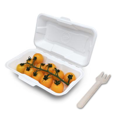 China Hot Selling Disposable Biodegradablefast Food Packaging Eco Friendly Compostable Boxes for sale