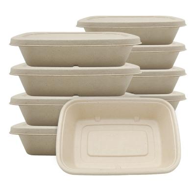 China Disposable Lunch Box Biodegradable Biodegradable Tray Cake Bakery Meal Fruit Fresh Food Food Box for sale