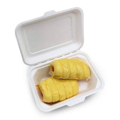 China Disposable Disposable Tableware Sets Biodegradable Sugarcane Bagasse Lunch Box Food Container Box for sale