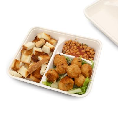 China Wholesale Disposable Food Tray 3 Compartments Lunch Tray Eco-Friendly Biodegradable Paper Disposable Serving Trays for sale