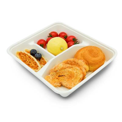 China Biodegradable Disposable School Company Canteen Food Tray Sugarcane Biodegradable Compartment Tray for sale