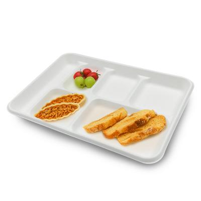 China Disposable Eco Friendly Biodegradable Rectangular Food Tray Compartment Sanitary Tray for sale