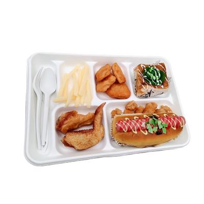 China 100% Biodegradable Eco-friendly Disposable 5 Compartments Compostable Biodegradable Sugarcane Bagasse Lunch Food Tray for sale