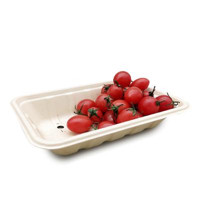 China Stronger And Durable Disposable Eco-friendly Biodegradable Disposable Tray Food Pulp Molding Bagasse Pulp Fruit Packaging for sale