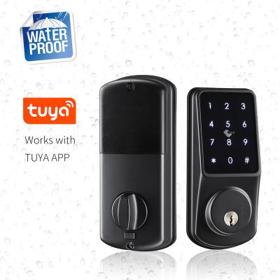 China Tuya APP Access Smart Waterproof Security Waterproof Door Lock with Alexa Google Home Smart Lock for sale