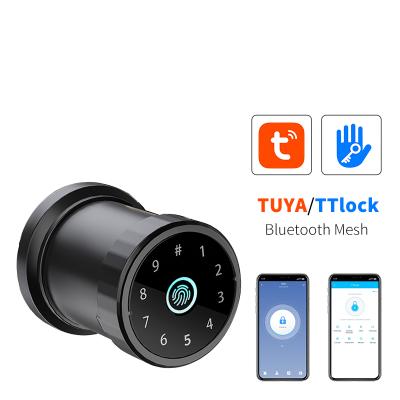 China Eseye Tuya Home Security Automatic Lock Biometric APP Keyless Smart Door Lock for sale