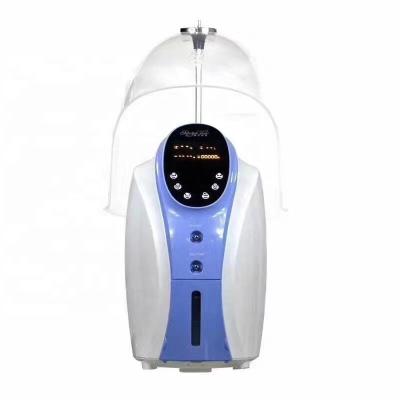 China Pigment Removal Jiali Korea Oxygen Dome Therapy Facial Skin Rejuvenation Machine with Oxygen Anion Generator for sale