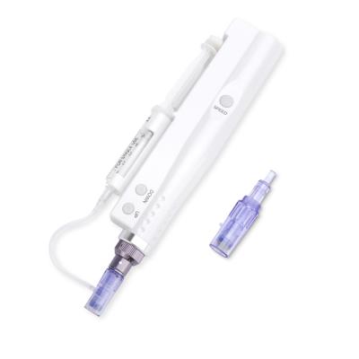 China Anti-Puffiness 3D Mini Water Mesotherapy Needles 2 in 1 Nano Microneedle Meso Machine Injector Derma Pen for sale