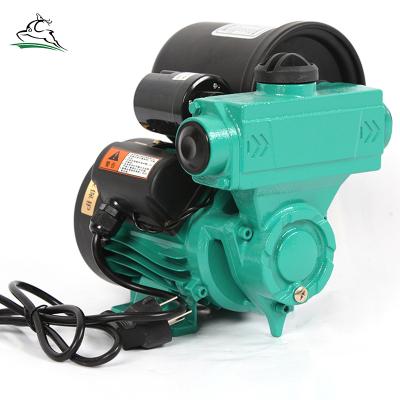 China Commercial Buildings Best Selling Small Silent Water Booster Pump 25WZB-20-109A for sale