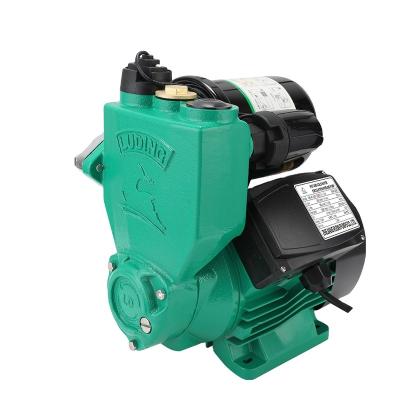 China Intelligent Automatic Commercial Buildings Control Design Dual Water Pump Self-priming Pump For Family Living Water for sale