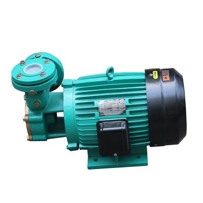 China Commercial Buildings 12V Stainless Steel High Lift Self Priming Vortex Water Pump For Boiler Pressurization for sale