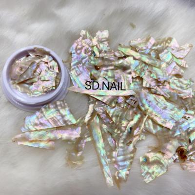 China User-Friendly Natural DIY Shell Slice Sea Nail Slice Abalone Color New Arrival Mixed Nail Art Decoration for sale