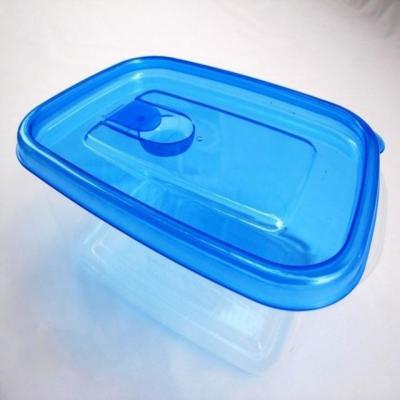 China Freshness Preservation Rate High Quality Food Grade European Fashionable Plastic Containers First 500ml Bpa Free for sale