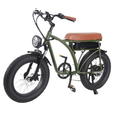 China Aluminum Alloy Electric Bike For Adults, 750w Electric Bicycle 20