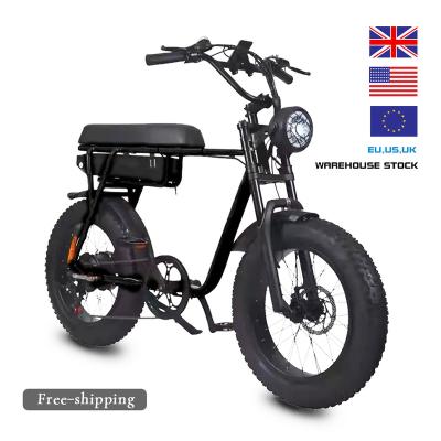 China Aluminum alloy 20inch 750W 48V 12.5AH fat tire electric mountian E-bike snow bike off-road electric bicycles for sale