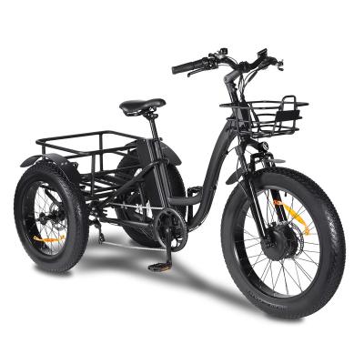 China Aluminum Alloy 3 Wheel Electric Bike For Adult With 750W Motor, 48V 18.2AH Removable Lithium Battery, 20