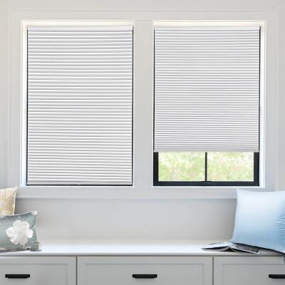 China Modern Customized Full Blackout Honeycomb Blinds Semi Manual Blackout Polyester Fabric Pull Bead Control For Bedroom And Study for sale