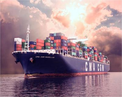 China Ocean Freight Container Sea Shipping Company To New York No for sale