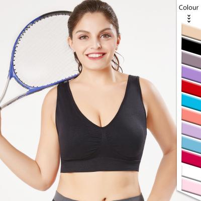 China Wholesale Breathable Seamless Padded Sports Bra S-6XL High Print Vest For Yoga Gym Workout Fitness XXXX Women Plus Size Sports Bra for sale