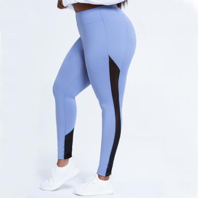 China Anti-Wrinkle L-4XL Plus Size Women's Fitness Gym Yoga Wear Running Active High Butt Yoga Pants Lifting Gaiters For Fat Lady for sale