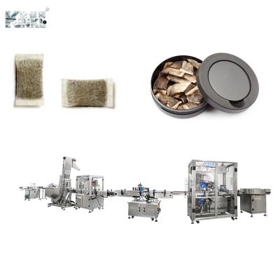 China High efficient box packing machine snus cartoning packing machine packing small sachets machine for sale