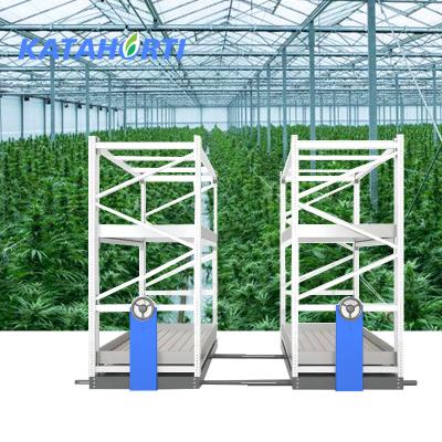 China Best Backup Location Choice Vertical Grow Hydroponic Growing System 2 Row Of Racks To Grow To Rack Vertical Farming Tall And Micro Greens Grow Rack for sale