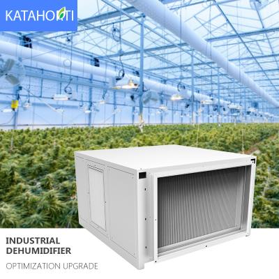 China High Efficiency Dehumidifier 50L Industrial Indoor Planting 5 Year Warranty 500 Pint Dehumidifier Greenhouse Use for sale