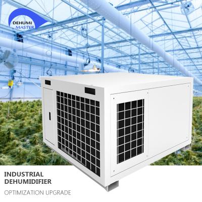 China Grow Room Indoor Greennhouse Grow Dehumidifier Desiccant 300 Pint 500 Pint 220V 277V 60Hz Cell Dehumidifier for sale