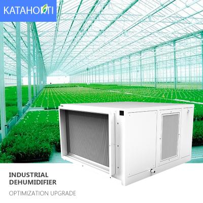 China High Efficiency Commercial Grow 220V 380V Greenhouse Dehumidifier Kabency New Design 2022 320pints 506pints for sale