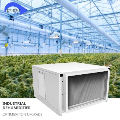 China Grow Room New Design 150L/D 1000P 60 Liter 90 Liter Mobile Dehumidifier Low Noise For Greenhouse for sale