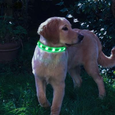 China Sustainable Adjustable USB Rechargeable Dog LED Collar 600*25mm For Night Safe for sale