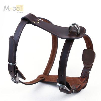 China Good Sustainable Tech Production Leather Pet Training Harness Led Safer Dog Harness for sale