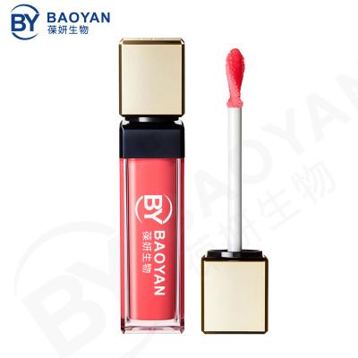 China Long Wear Shimmer Lip Gloss Cosmetics Universal Luminizer Private Label for sale