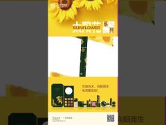 Sunflower color makeup cosmetics for private label