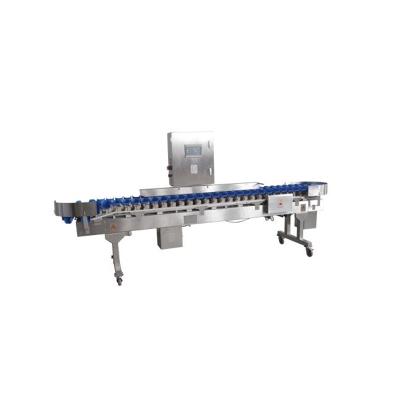 China Fast Speed ​​Automatic Grading Scale Poultry Sorter Oyster Seafood Sorter for sale