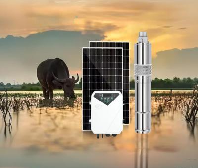 China Optimale Eingangsspannung 60V-90V Gleichspannung Solarwasserpumpe mit MPPT-Steuerungstyp und maximalem Durchfluss 3,8m3/h zu verkaufen