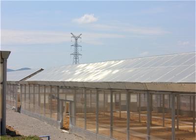 중국 BIPV 온실 태양계 500KW 에너지 효과 영화 덮개 관례 깊이 판매용