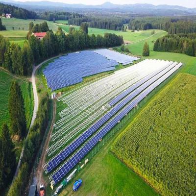 China Horizontal Vertical Metallic Single Span Greenhouse Solar System for sale