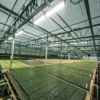 China A Frame Outdoor Irrigation Agricultural Solar Powered Greenhouse for sale