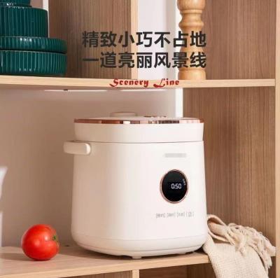 China Household Mini Mini Circle Display Touch Display Rice Cooker Square Rice Cookers With Handle for sale