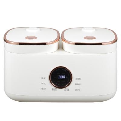 China Hotel design factory 2022 own mold intelligent electric multi cooker rice cooker 2L+2L inner pots 10 two in 1 for sale