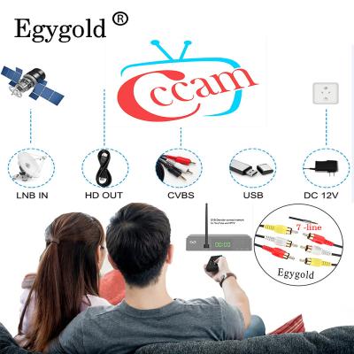 China EGYGOLD Most Stable Server 7 Lines ICAM Cccam Europe Poland TVP 4K Canal+ Cable For Satellite TV DVB-S2 Receiver Egygold.net for sale